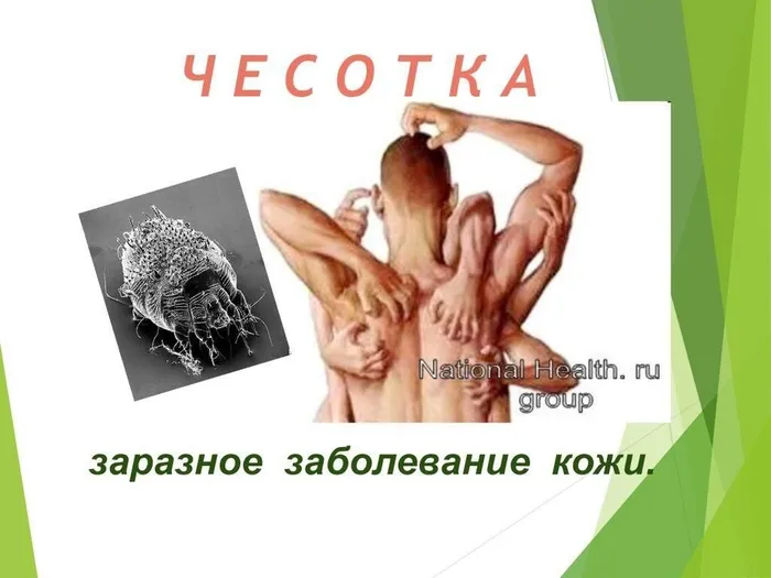 WhatsApp Image 2025-03-25 at 10.54.25