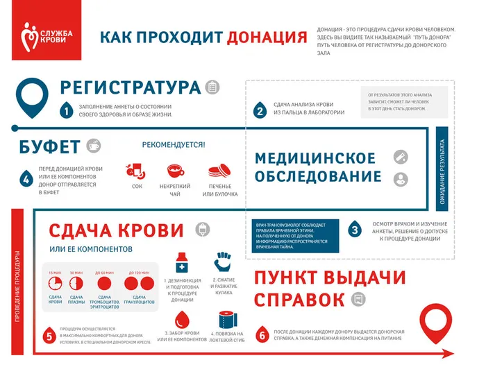 Инфографика-Как-проходит-донация