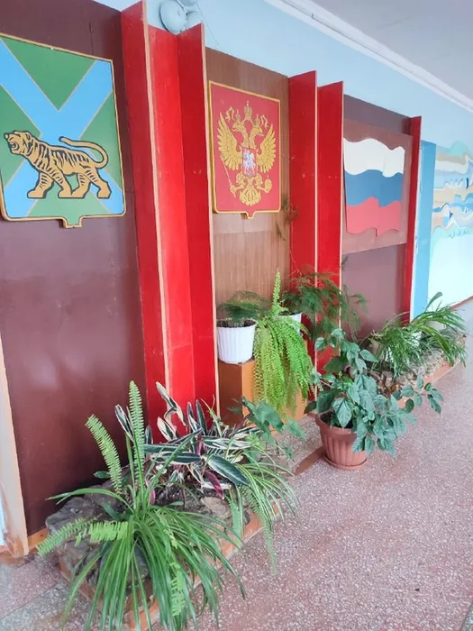 обильно украшены комнатными цветами.