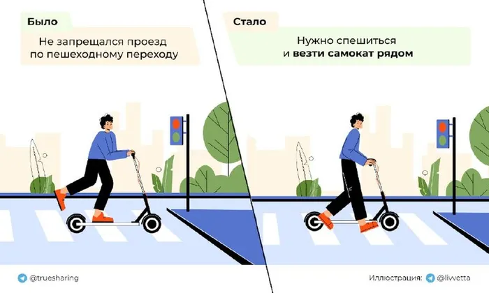 Безопасность дорожного движения