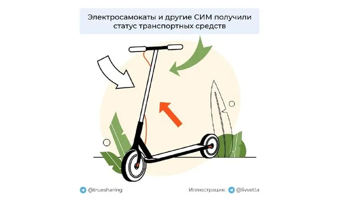 Безопасность дорожного движения